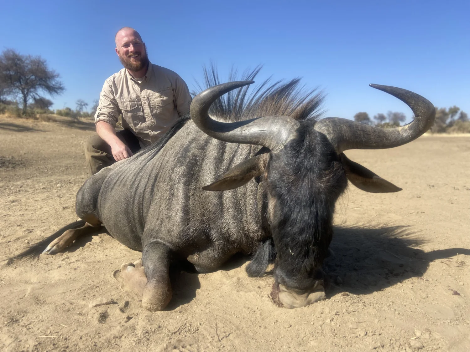 John Henry Spann, Founder, in the field with a blue wildebeest in Africa