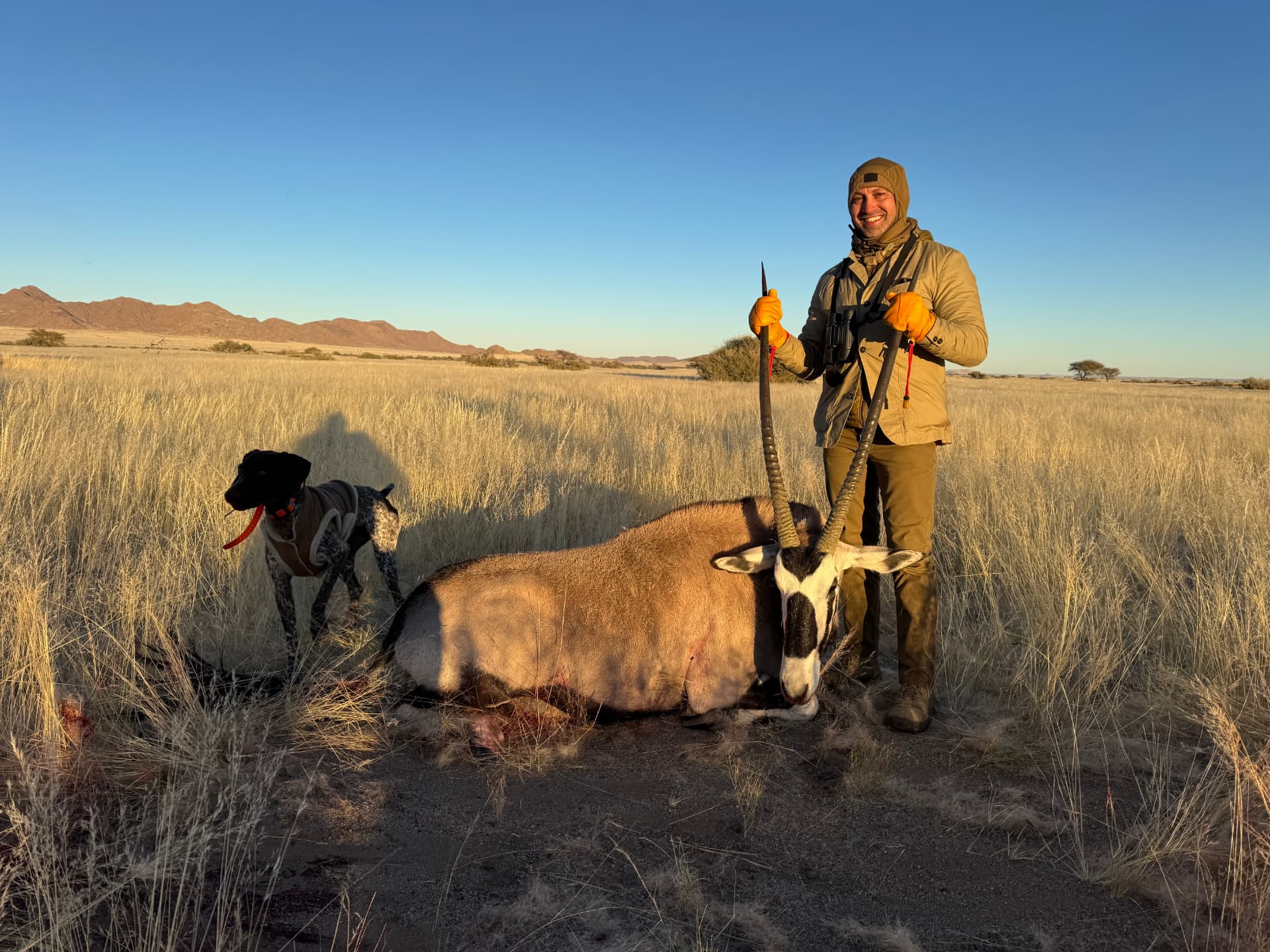 A hunter with a harvested oryx at sunset, tracking dog waiting nearby