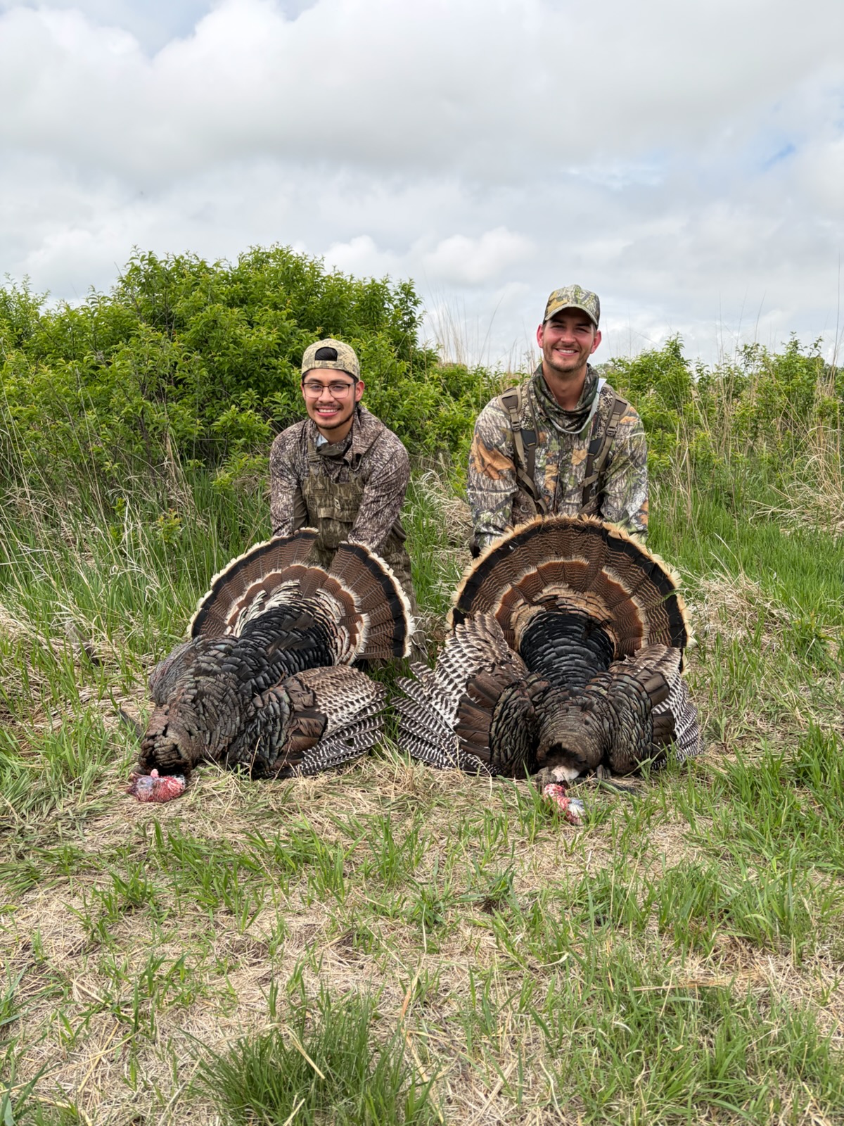 Two hunters kneeling in a spring field, each with a harvested turkey fanned out